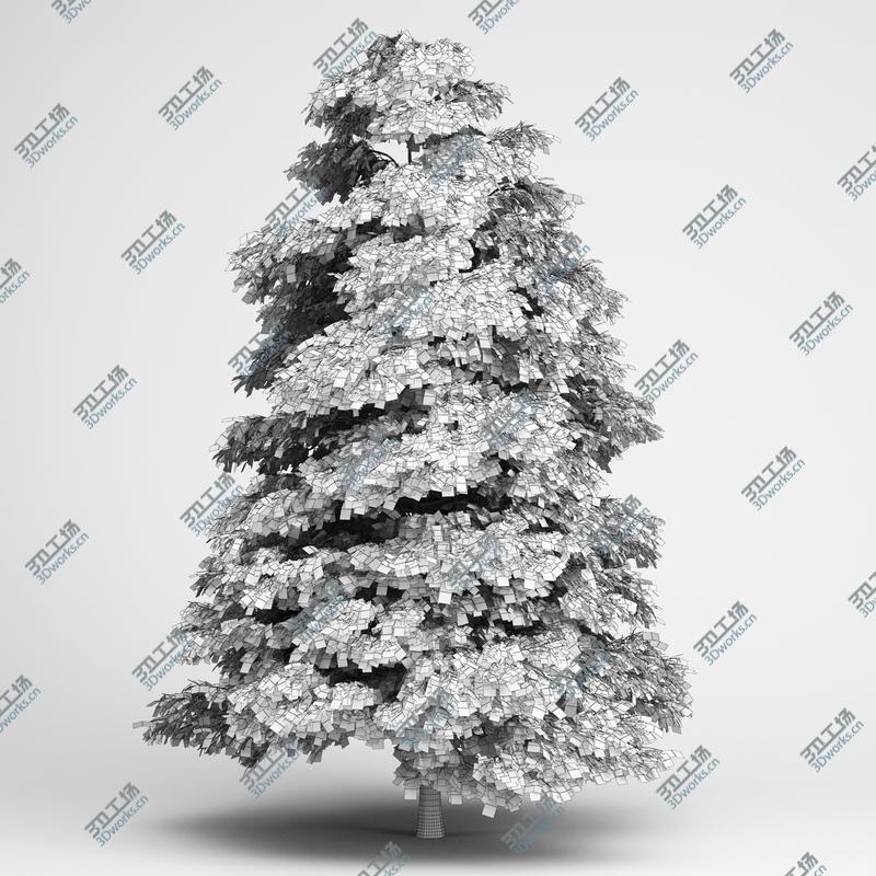 images/goods_img/202104091/CGAxis Models Volume 14 Trees II/5.jpg